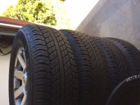 IMG_1539.JPG