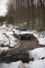 AOAA (1 of 1)-13.jpg