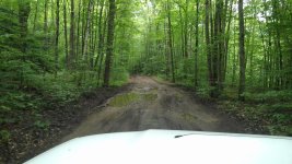 IMG_20170706_123749.jpg