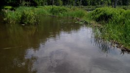 IMG_20170706_133724.jpg