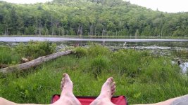IMG_20170706_145022.jpg