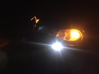 IMG_8384.jpg