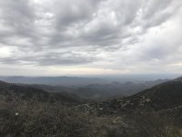 IMG_3132.jpg