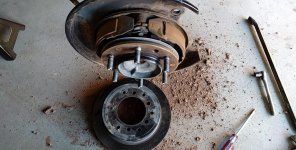 IMG_20170307_110443_01.jpg