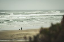 3-27-2017 trip-42 copy.jpg