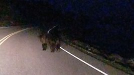 IMG-20170526-WA0002.jpg