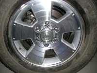 CIMG0256.jpg