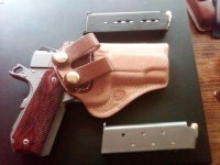 My Brown in Holster.jpg