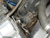 DSC03411.JPG