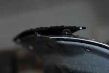 DSC_2956.JPG