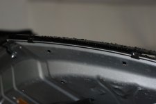 DSC_2961.JPG