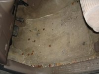 DSC03430.JPG