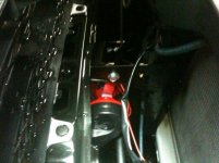 horn6.jpg