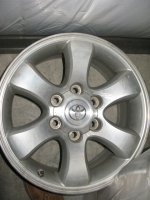 IMG_3562.jpeg
