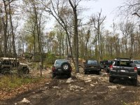 IMG_8520.jpg