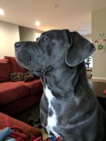 IMG_20170322_174518.jpg