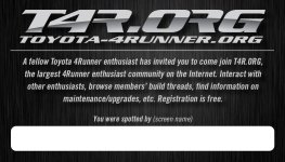 T4R.ORG Spotted Cards.jpg