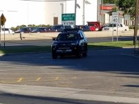 spotted 7302017.jpg