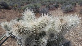 20170502_112322.jpg