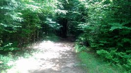 IMG_20170718_133146.jpg
