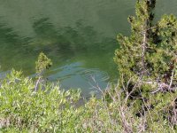 IMG_20170730_142455.jpg