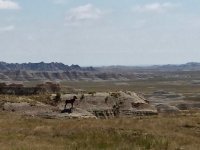 IMG_1337.jpg