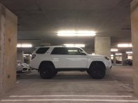 IMG_0908.jpg