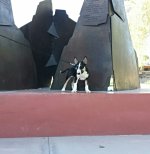 aviary_1408203463216.jpg