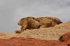 IMG_6630.jpg