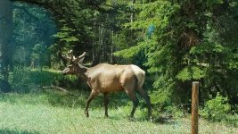 IMG-20170525-WA0008.jpg