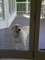 IMG-20170521-WA0000.jpg