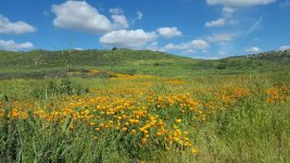 Resized_20170326_154101.jpg