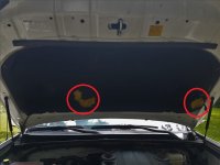 20170708_130201.jpg