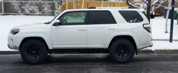 Profile 2557517.jpg