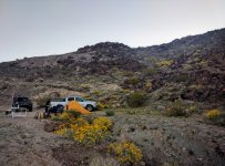 IMG_20170325_065437~2.jpg
