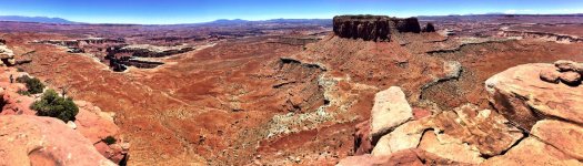 IMG_1513.jpg