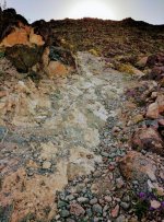 IMG_20170325_080827~2.jpg