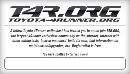 T4R.ORG Spotted Cards White.jpg