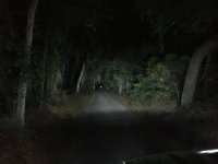 IMG_4461.jpg