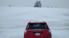 IMG_20170326_151406676.jpg