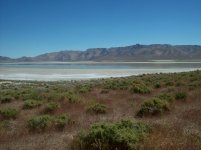 33405-A bit of water.jpg