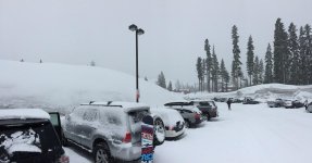 IMG_0516.jpg