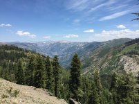 IMG_0803.jpg