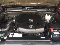 Motor.jpg