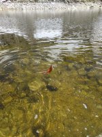 IMG_20170617_141215.jpg