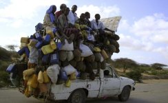 packed to the gill.jpg