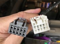 1996 Plugs Tailgate.jpg