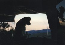 awning1.jpg