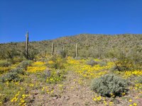 IMG_20170311_102717.jpg