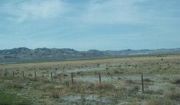 331-01-Flats beginning to fill.jpg
